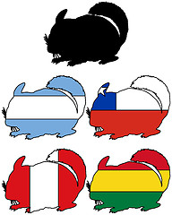 Image showing Chinchilla flags