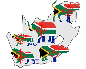 Image showing Big Five South Africa cross lines