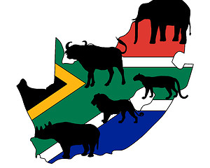 Image showing Big Five South Africa 