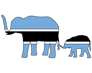 Image showing Botswana elephants