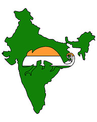 Image showing India Chameleon