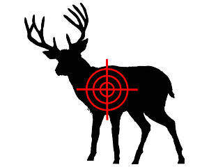 Image showing Red deer crosshair