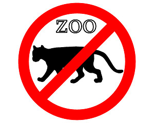 Image showing Puma in zoo prohibited