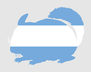 Image showing Chinchilla Argentina