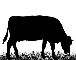 Image showing Cow in the meadow