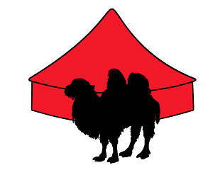 Image showing Bactrian Camel in circus 