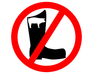 Image showing No pigskin boots 