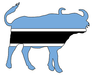 Image showing Botswana buffalo 