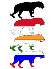 Image showing Tiger flags