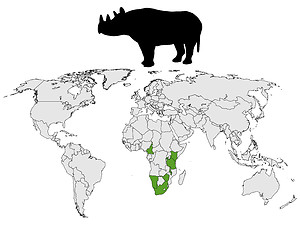 Image showing Rhinoceros range