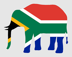 Image showing Elephant with flag of south Africa