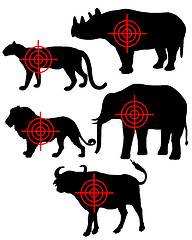 Image showing Big Five cross hairs