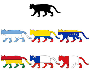 Image showing Cougar flags