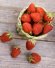 Image showing Forest Strawberries