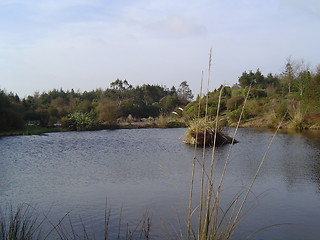 Image showing Scotish landscape