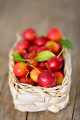 Image showing cherry-plum in basket