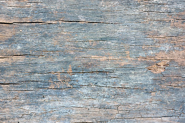 Image showing old wood texture