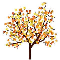 Image showing Autumn maple tree