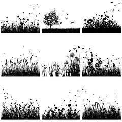 Image showing Grass silhouette set