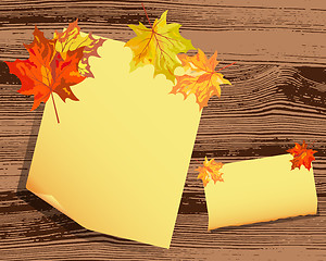 Image showing Autumn maple background