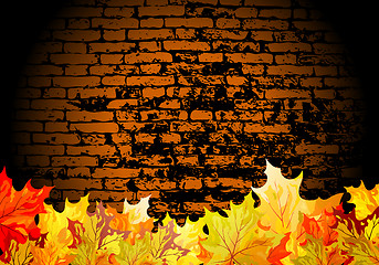 Image showing Autumn maple background