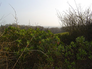 Image showing Scotish landscape