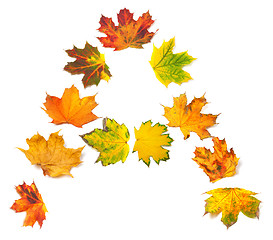 Image showing Letter A composed of autumn maple leafs