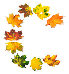 Image showing Letter C composed of autumn maple leafs