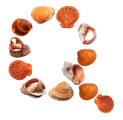 Image showing Letter Q composed of seashells