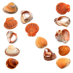 Image showing Letter N composed of seashells