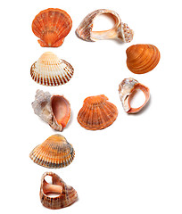 Image showing Letter P composed of seashells