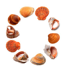 Image showing Letter O composed of seashells