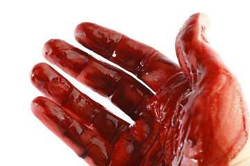 Image showing Bloody hand