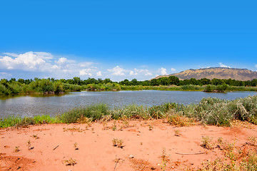 Image showing Rio Grande Nature Center State Park