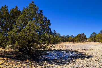 Image showing El Malpais National Monument