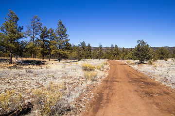 Image showing El Malpais National Monument