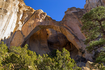 Image showing El Malpais National Monument