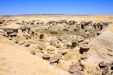 Image showing Ah-Shi-Sle-Pah Wilderness Study Area; New Mexico