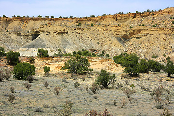 Image showing At the Ojito Wilderness Area, New Mexico