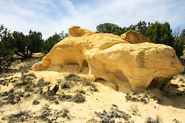 Image showing At the Ojito Wilderness Area, New Mexico