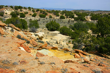 Image showing At the Ojito Wilderness Area, New Mexico