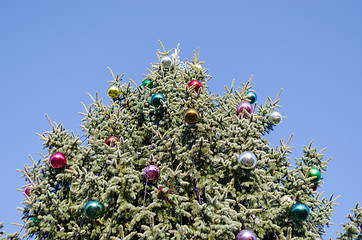 Image showing christmas tree glassy ball on blue sky background 