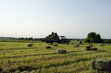 Image showing farmers load dried hay straw bales to tractor 