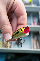 Image showing Fishing Lure Close up