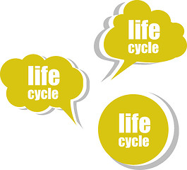 Image showing life cycle. Set of stickers, labels, tags. Template for infographics