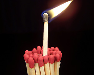 Image showing Lit Match Sticking Out of Unlit Matches