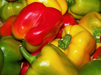 Image showing Peppers Fresh From the Farm