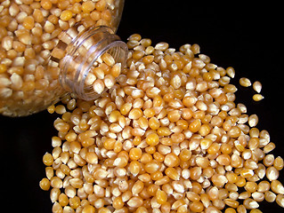 Image showing Popcorn Kernels Pouring from the Container