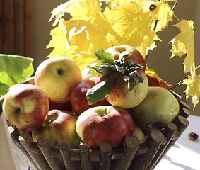 Image showing Apple basket