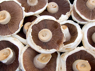 Image showing Portobello mushrooms